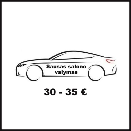 Sausas salono valymas